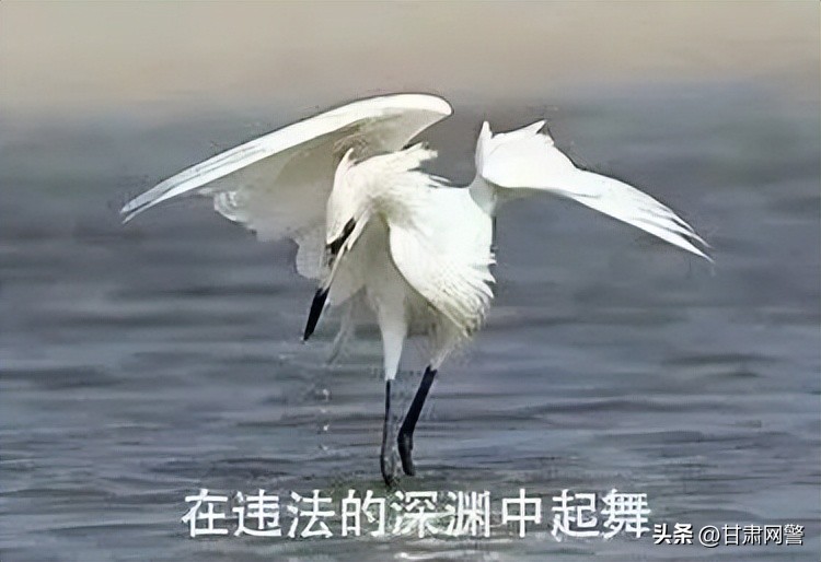 seo外链推广员_友情链接推广色情网站违法案例_友情链接推广博彩网站违法案例