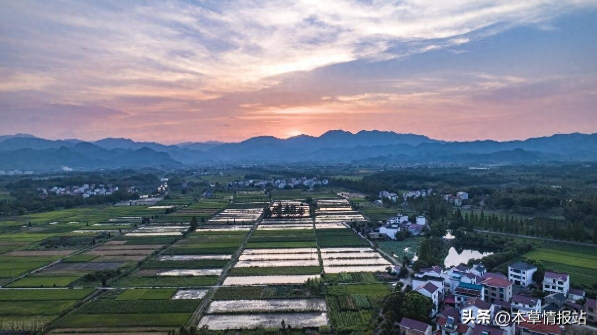 乡村旅游项目_回农村创业特色农业种植_生态养殖产业链延伸