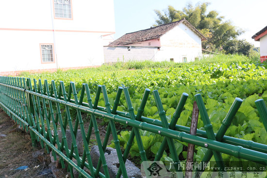 来宾盘古文化生态旅游景区 交通_广西来宾北合村文明村镇_北合村旅游发展