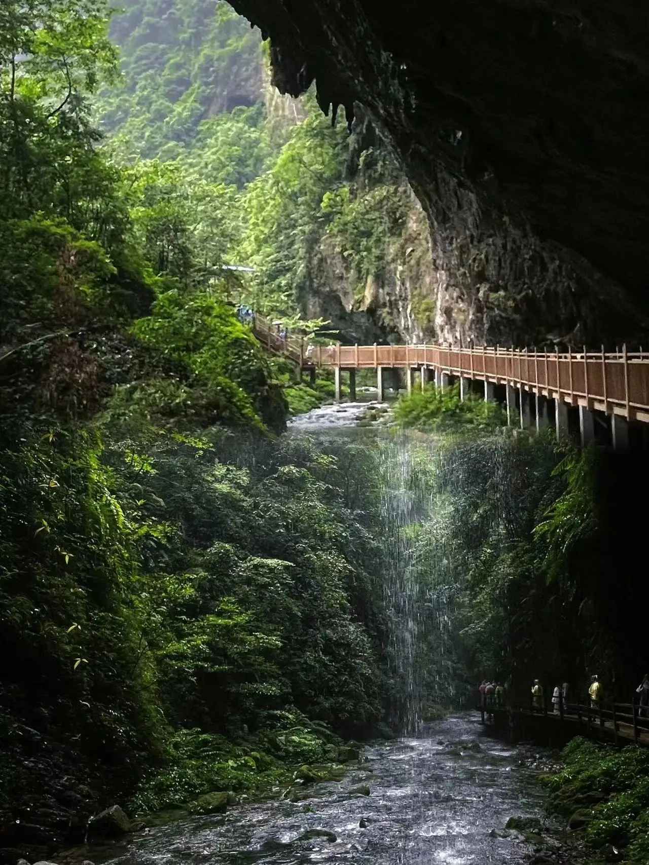 张家界黄龙洞门票价格_张家界黄龙洞景区_张家界旅游导游娜娜