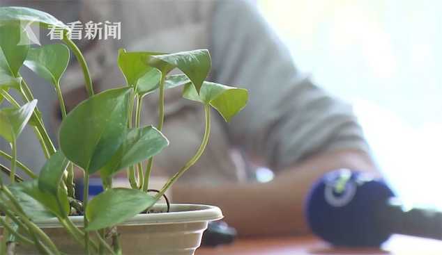 _情人给我借钱_ 夫妻入狱妻子出轨情人盗刷 