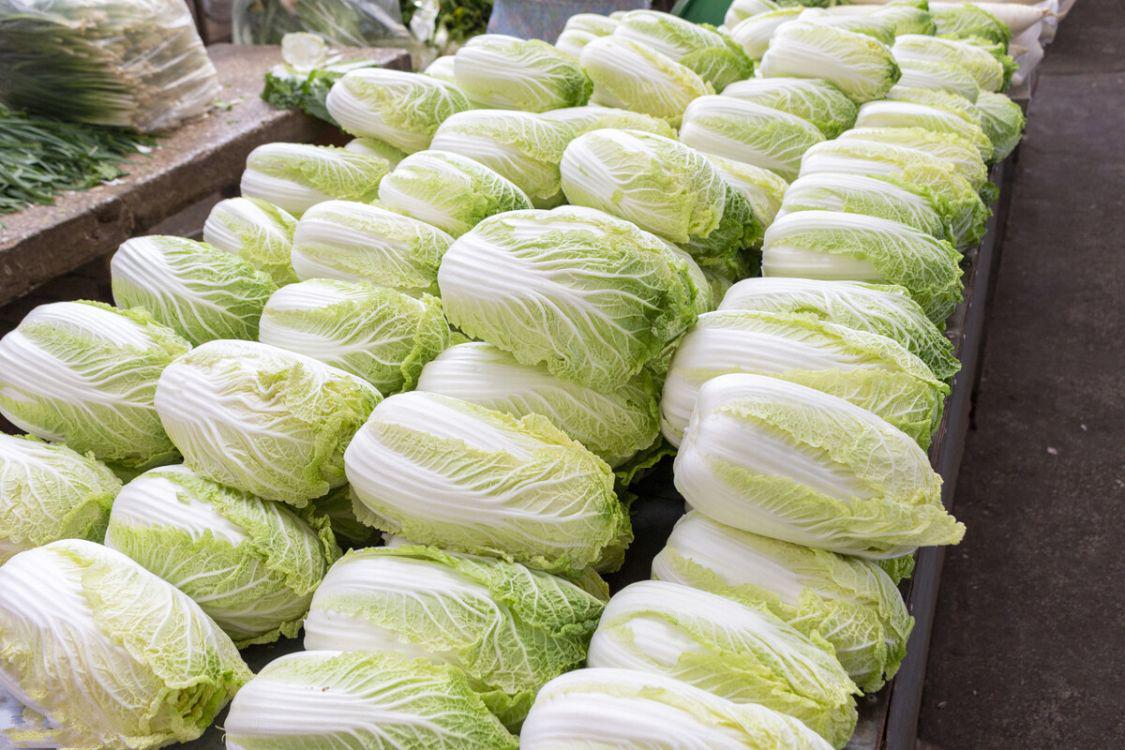 北方冬天囤菜蔬菜排行_冬季耐储存蔬菜推荐_素菜炖菜大全