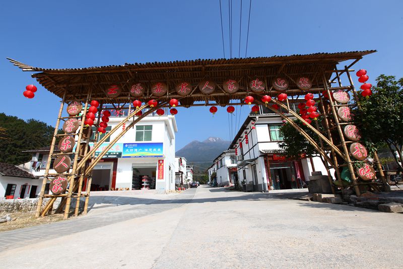 龙岩市森林覆盖率_福建森林旅游地_龙岩旅游区域发展失衡