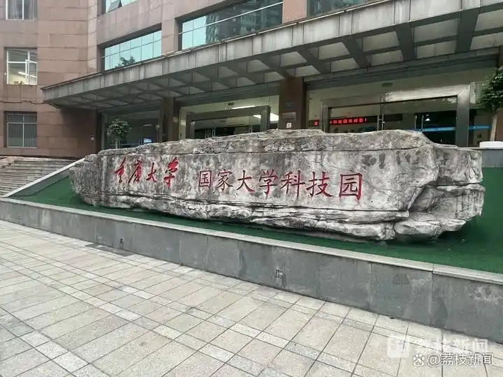 知识产权 科技成果_权益约定模式_重庆大学科技成果转化