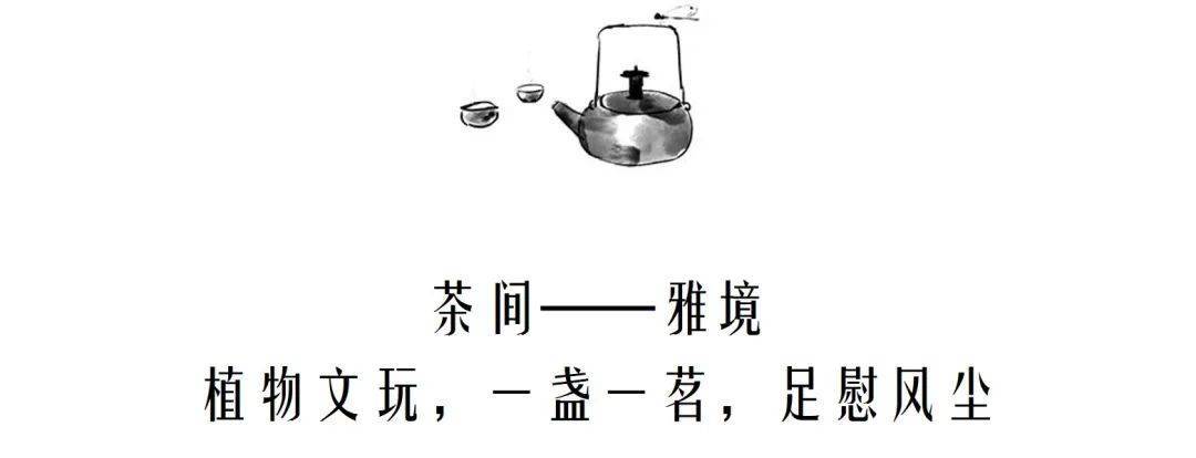 文人茶室设计_开间茶馆装修图片_京瓷禅意茶室