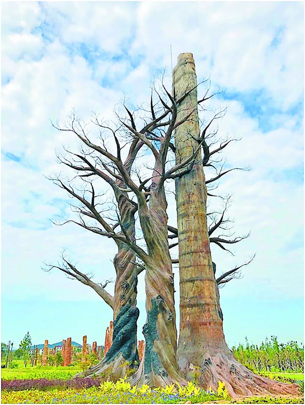 义乌松山旅游景点_义乌全域旅游_义乌旅游美食