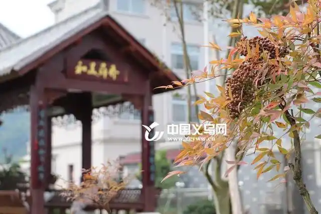 松瀑山瀑布_义乌薛乔村旅游_义乌松山旅游景点