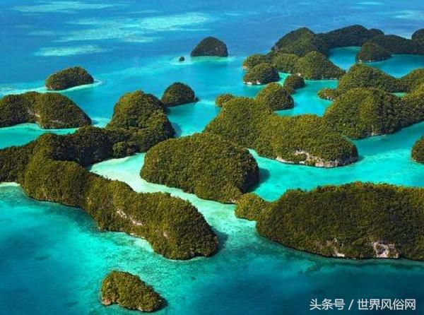 帕劳旅游景点介绍_帕劳群岛 洛克群岛南部泻湖 帕劳水母湖