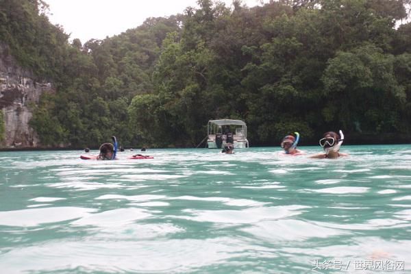 帕劳群岛 洛克群岛南部泻湖 帕劳水母湖_帕劳旅游景点介绍