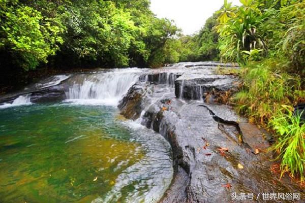 帕劳旅游景点介绍_帕劳群岛 洛克群岛南部泻湖 帕劳水母湖