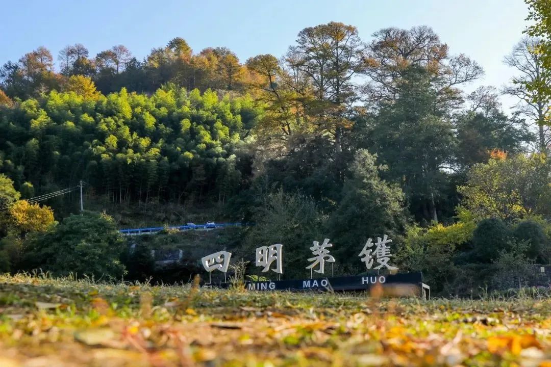 四明山悬岩村晚樱观赏攻略_宁波余姚四明山樱花自驾游_余姚大岚镇旅游