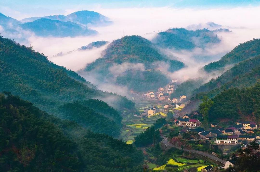 余姚大岚镇旅游_四明山悬岩村晚樱观赏攻略_宁波余姚四明山樱花自驾游