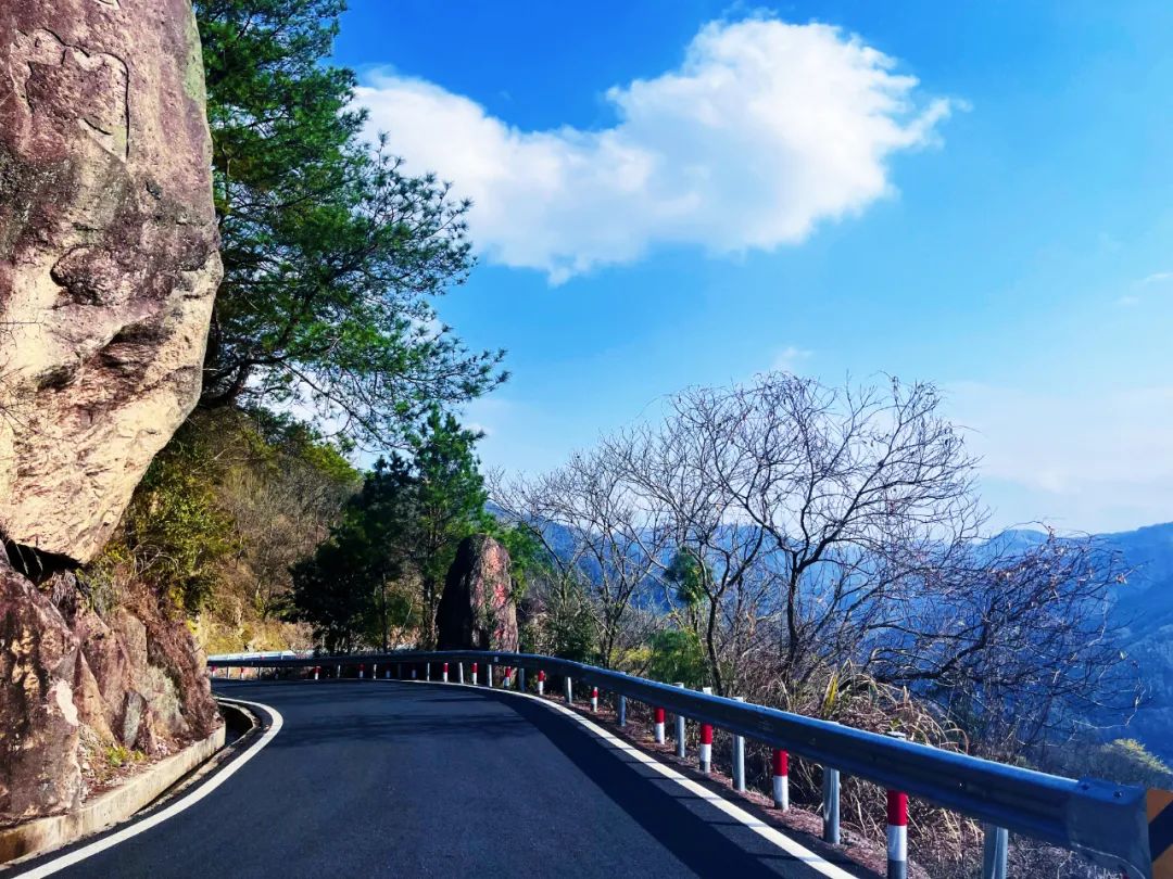 宁波余姚四明山樱花自驾游_四明山悬岩村晚樱观赏攻略_余姚大岚镇旅游