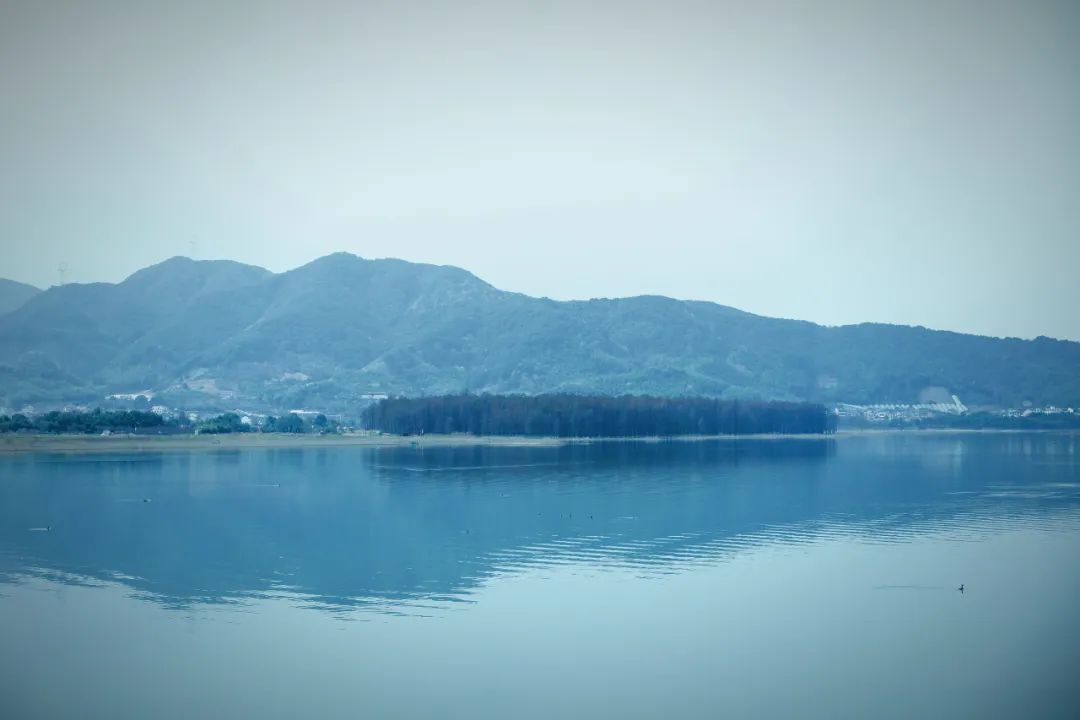 宁波余姚四明山樱花自驾游_余姚大岚镇旅游_四明山悬岩村晚樱观赏攻略