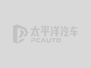 春风X6沙滩车_狮跑沙滩车M460_狮跑沙滩车报价及图片
