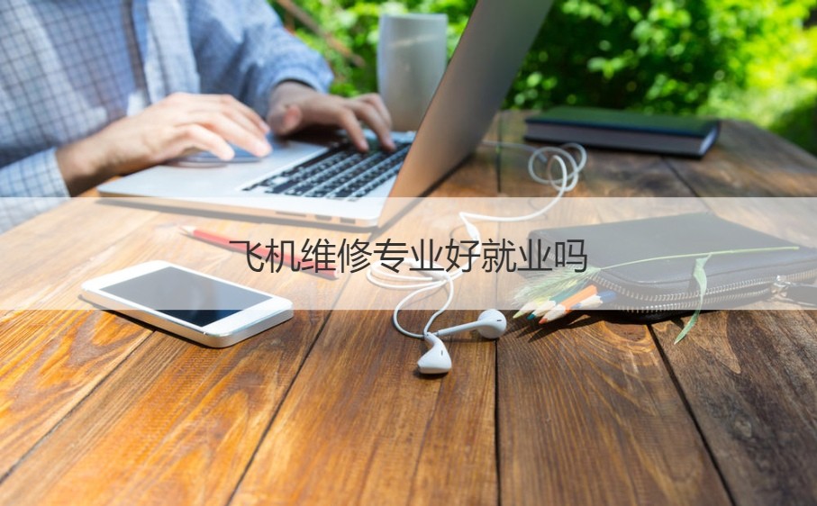 东航飞机维修工资待遇_飞机维修师月薪多少_南宁飞机维修工资待遇