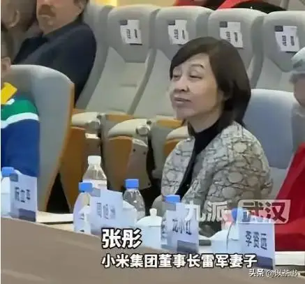 雷军张彤商业故事_张彤是怎么认识雷军的_小米汽车雷军退车风波