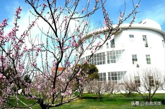 河南省重点高职院校_周口科技学院真垃圾啊_周口职业技术学院