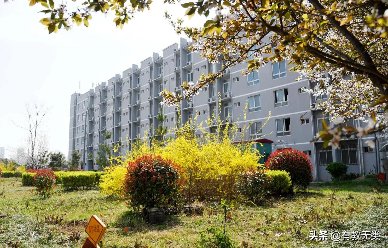 周口科技学院真垃圾啊_河南省重点高职院校_周口职业技术学院