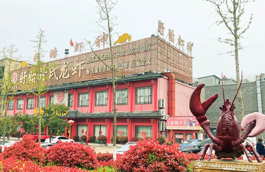 不同派别小龙虾推荐_全国小龙虾地图_长沙最韵味夜宵美食2025长沙口味虾地图