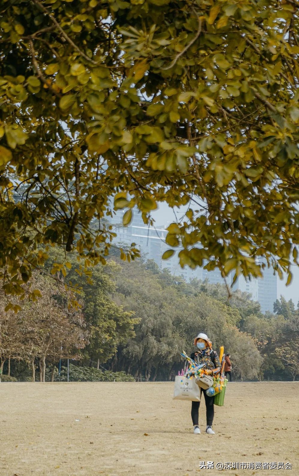 深圳旅游消费券_深圳露营线路_同安莲花山露营