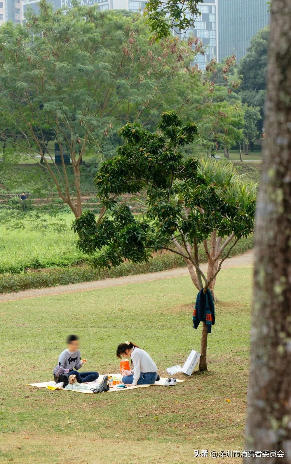 同安莲花山露营_深圳旅游消费券_深圳露营线路