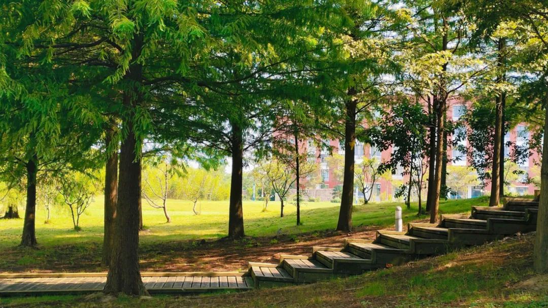 寒假 旅游景点_学校2024年放假安排_2023-2024学年寒假放假时间