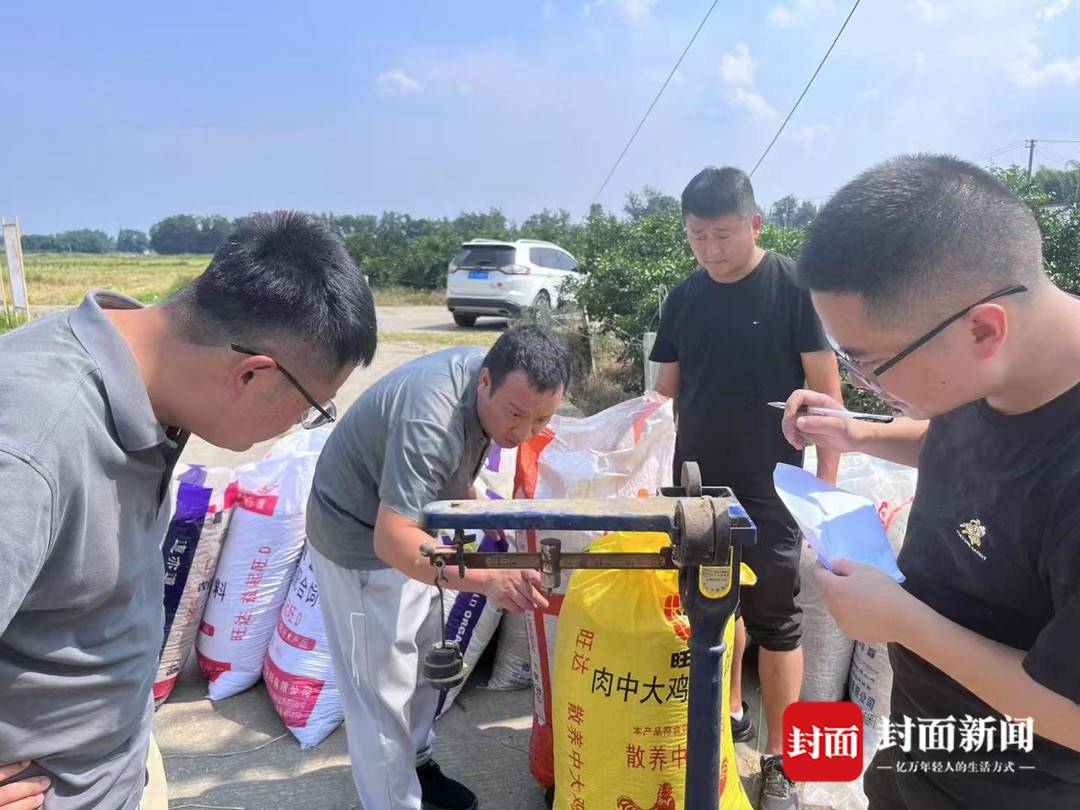 节水抗旱稻 成都平原 大规模推广_水稻亩产收益