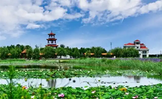 津围北二线自驾游_天津晶宝农庄观光采摘二日游_天津乡村旅游精品线路