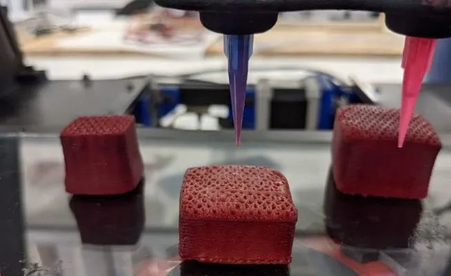 3d打印fdm技术_3D食品打印机应用场景_3D打印食品工艺
