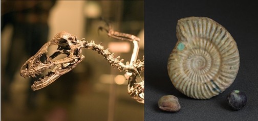 3D打印应用领域_3D打印技术原理_3d打印fdm技术
