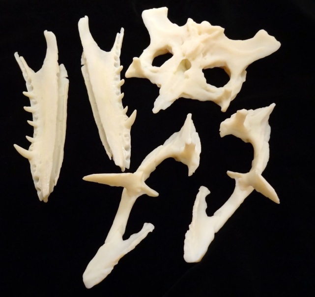 3D打印技术原理_3D打印应用领域_3d打印fdm技术