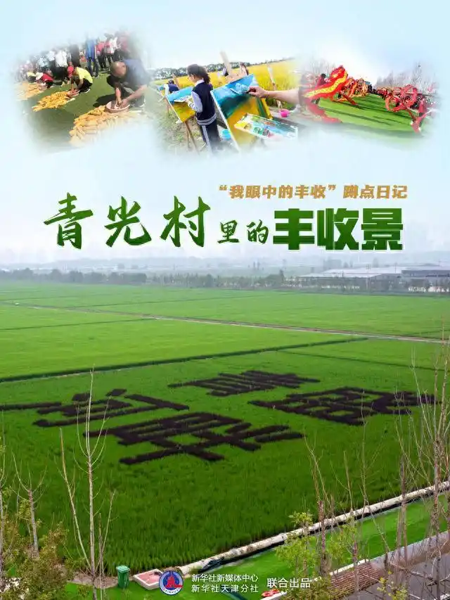 天津市北辰区青盛河畔农庄 庆丰收活动 乡村振兴_天津晶宝农庄观光采摘二日游