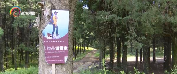 露营爱好者遭清退原因_云南露营混帐事件_昆明周边山林垃圾问题