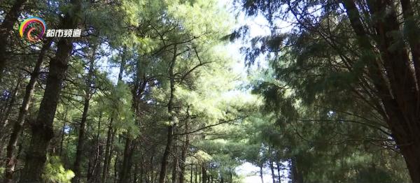 昆明周边山林垃圾问题_云南露营混帐事件_露营爱好者遭清退原因