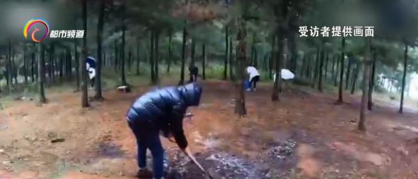 云南露营混帐事件_昆明周边山林垃圾问题_露营爱好者遭清退原因