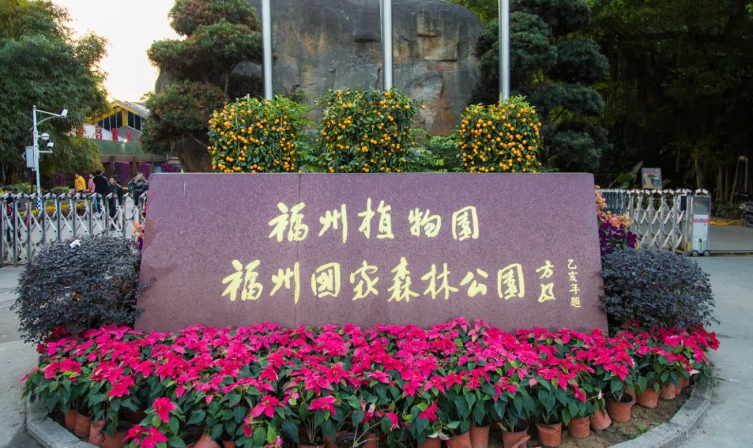 福州火车站附近美食推荐_福州三坊七巷旅游攻略_福州平潭岛海岛风光旅游