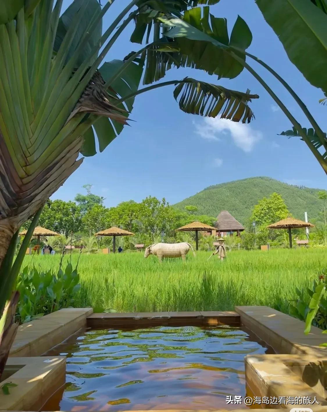 广东省有哪个旅游景点有山有水_避开广深高铁1小时直达3天2晚攻略_广东端午旅行地推荐