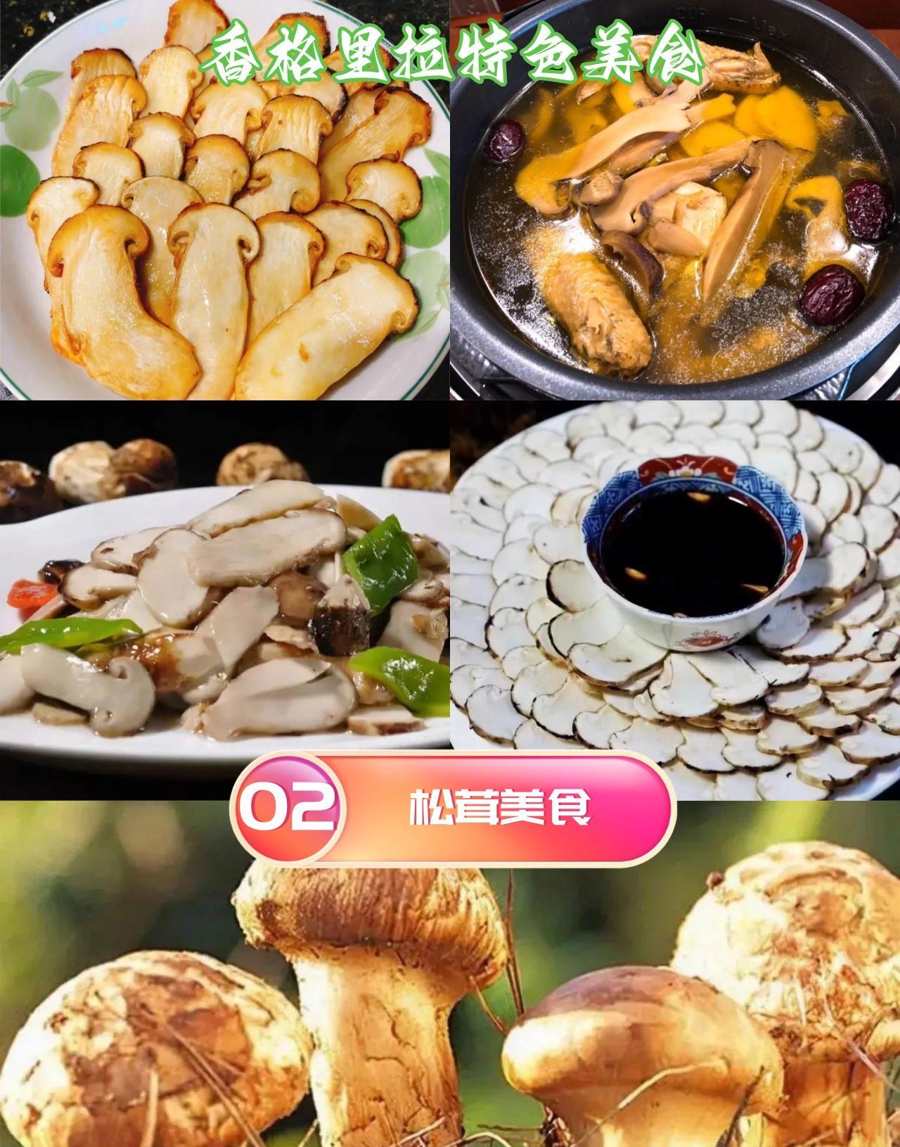 香格里拉美食推荐_香格里拉特色美食_香格里拉酥油茶松茸锅奔火锅
