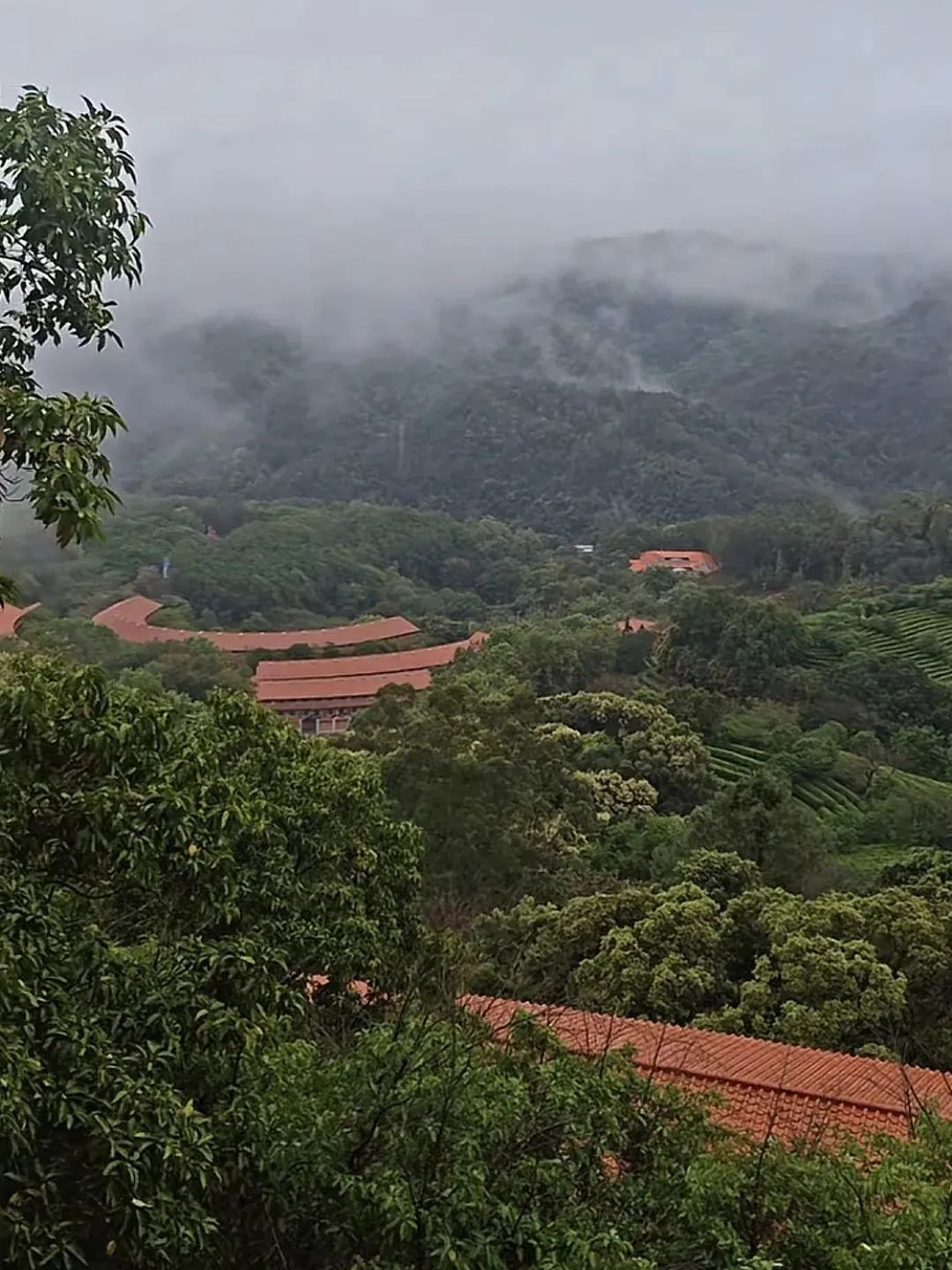 广东省有哪个旅游景点有山有水_广东5A景区攻略_丹霞山星湖惠州西湖罗浮山攻略