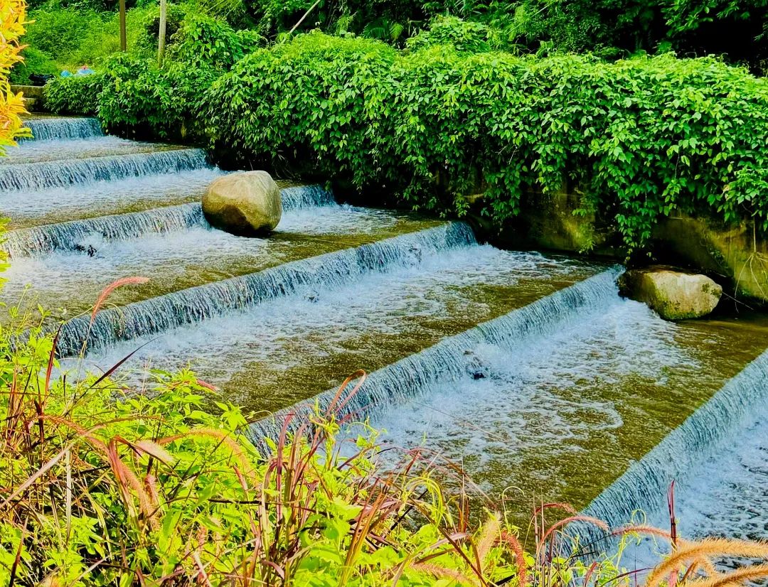 广州周末好去处_广东省有哪个旅游景点有山有水_增城免费溯溪