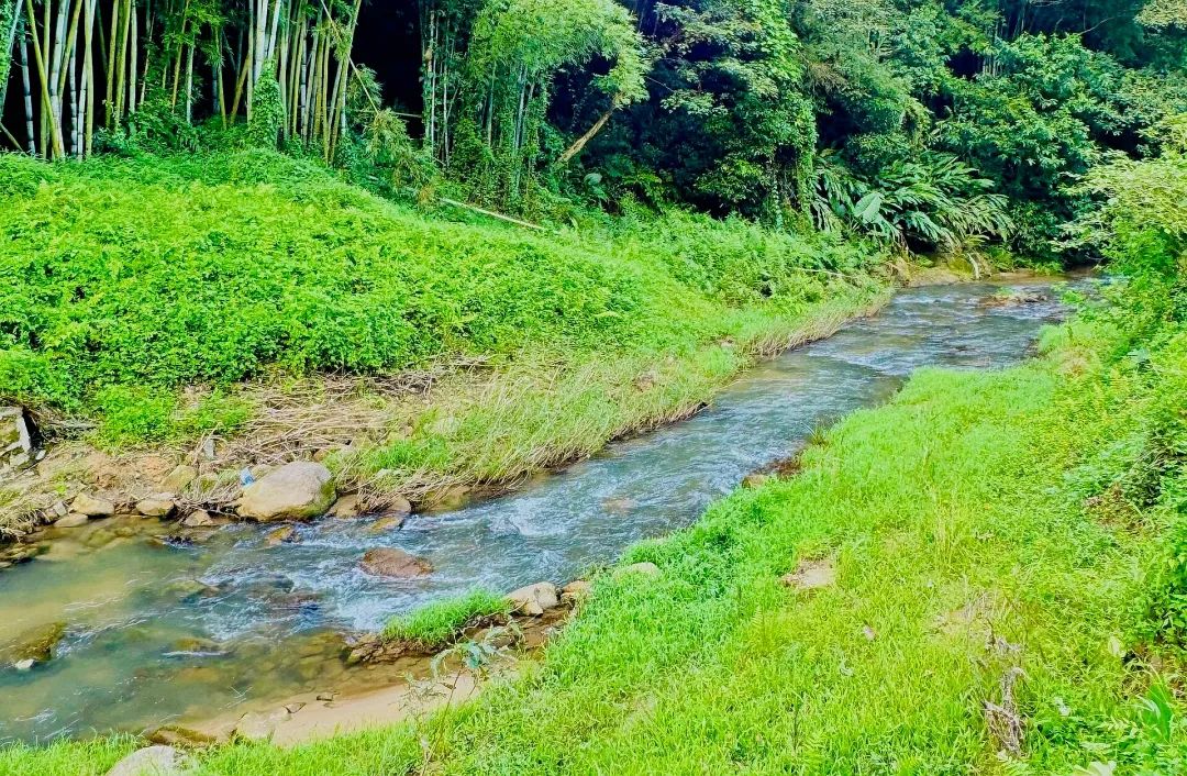 广东省有哪个旅游景点有山有水_广州周末好去处_增城免费溯溪