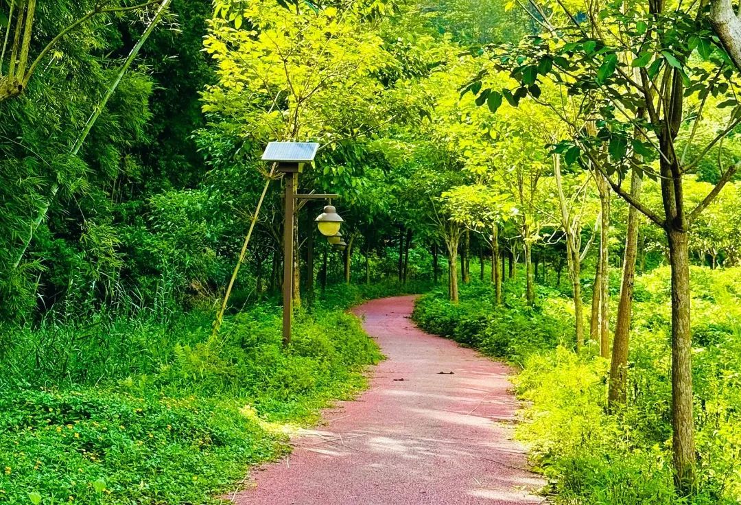广州周末好去处_广东省有哪个旅游景点有山有水_增城免费溯溪