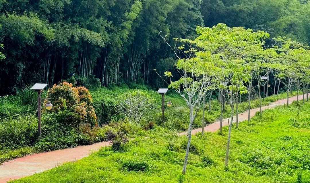增城免费溯溪_广东省有哪个旅游景点有山有水_广州周末好去处