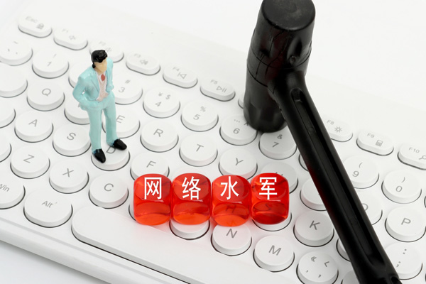 网络水军 刷单控评 非法获利_seo算网络水军