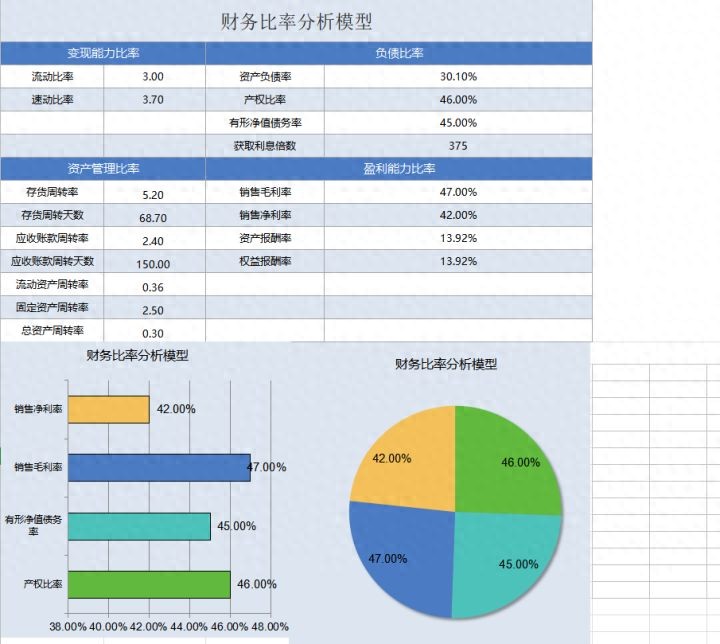 excel费用支出表格模板_财务比率分析模型_财务分析常用表格