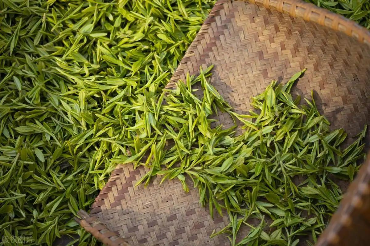 有关茶叶知识_中国茶文化_:茶叶冷知识