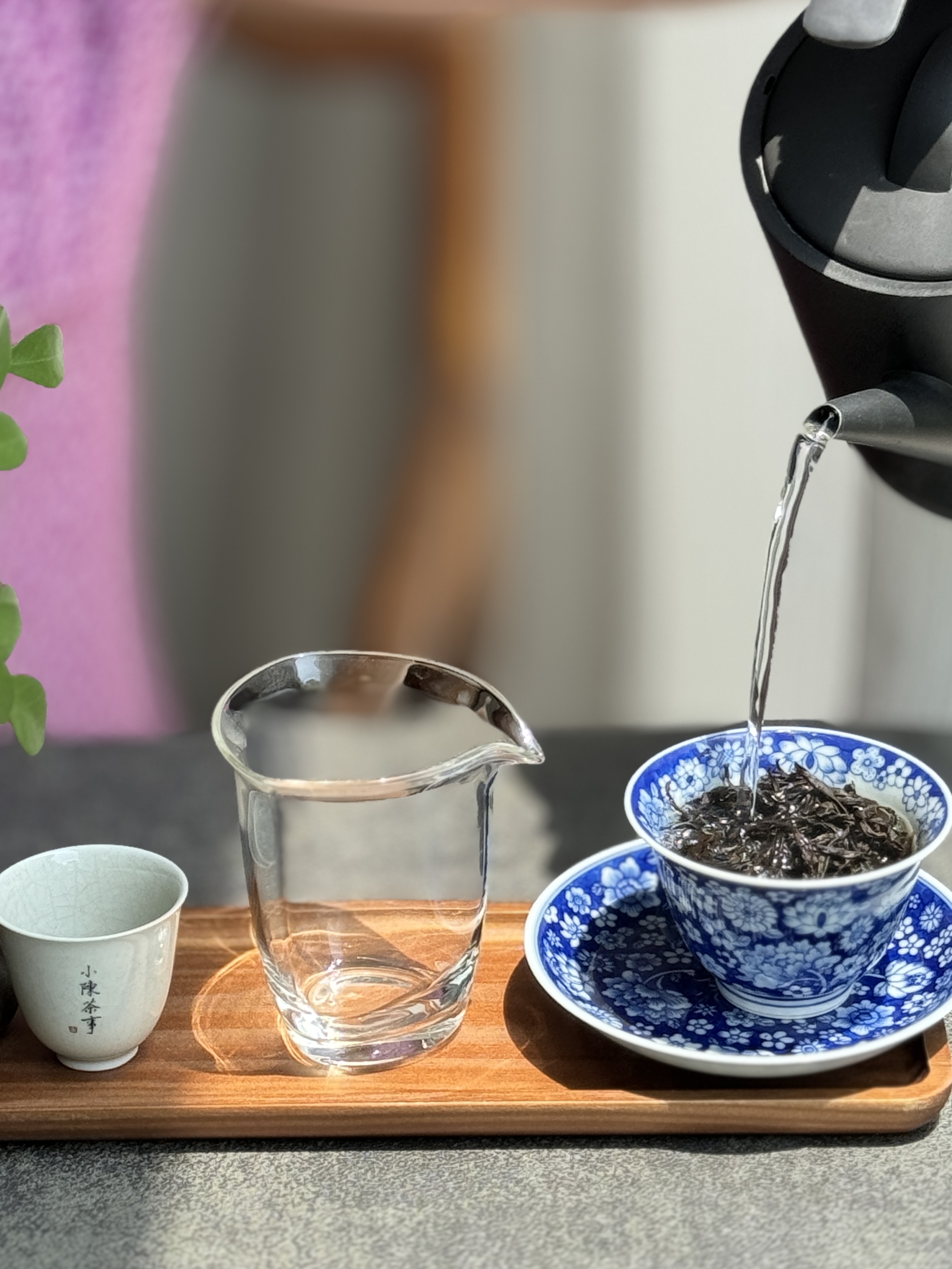 春茶分类 绿茶与白茶区别 青茶与红茶识别_有关茶叶知识