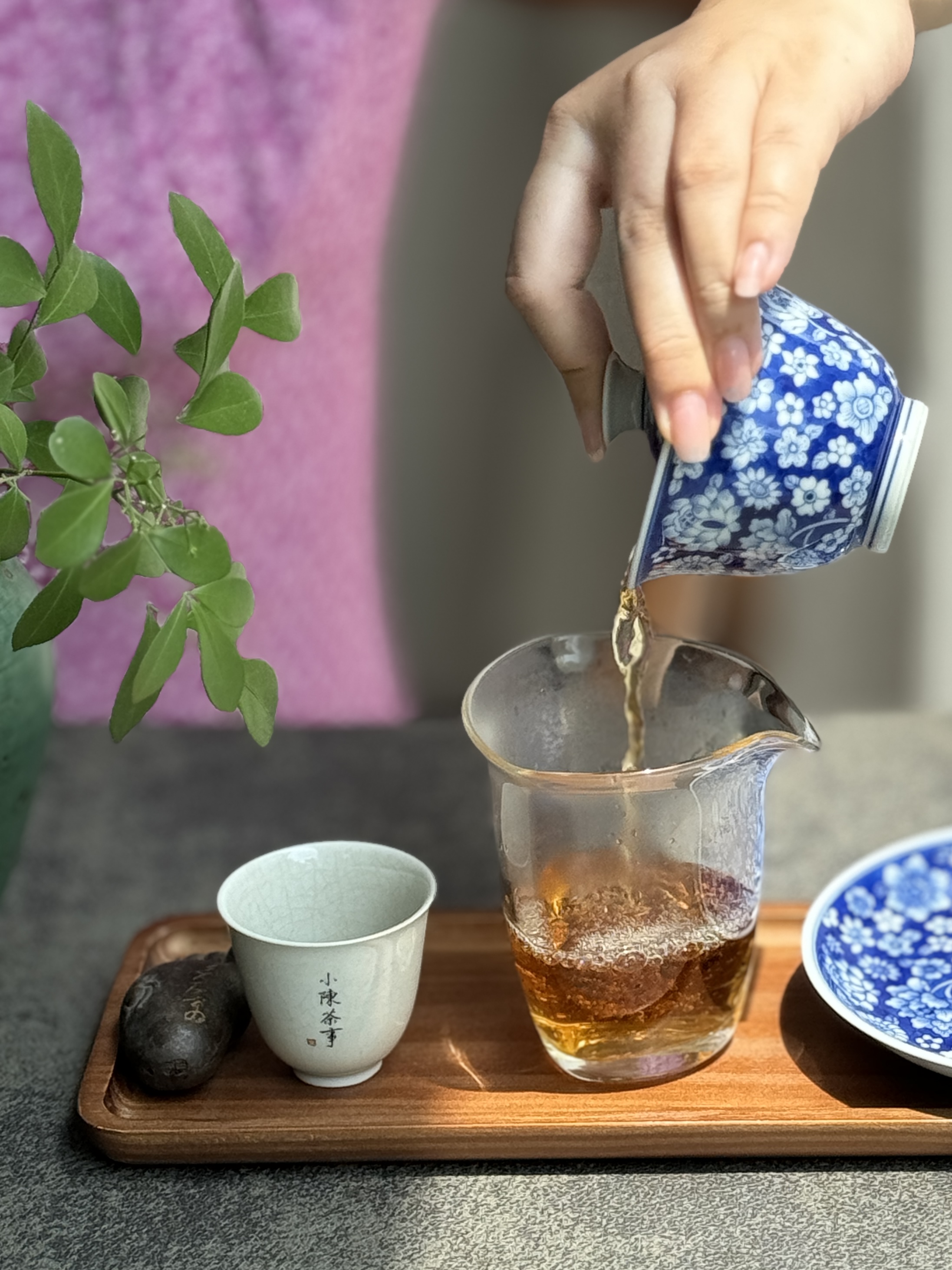 春茶分类 绿茶与白茶区别 青茶与红茶识别_有关茶叶知识