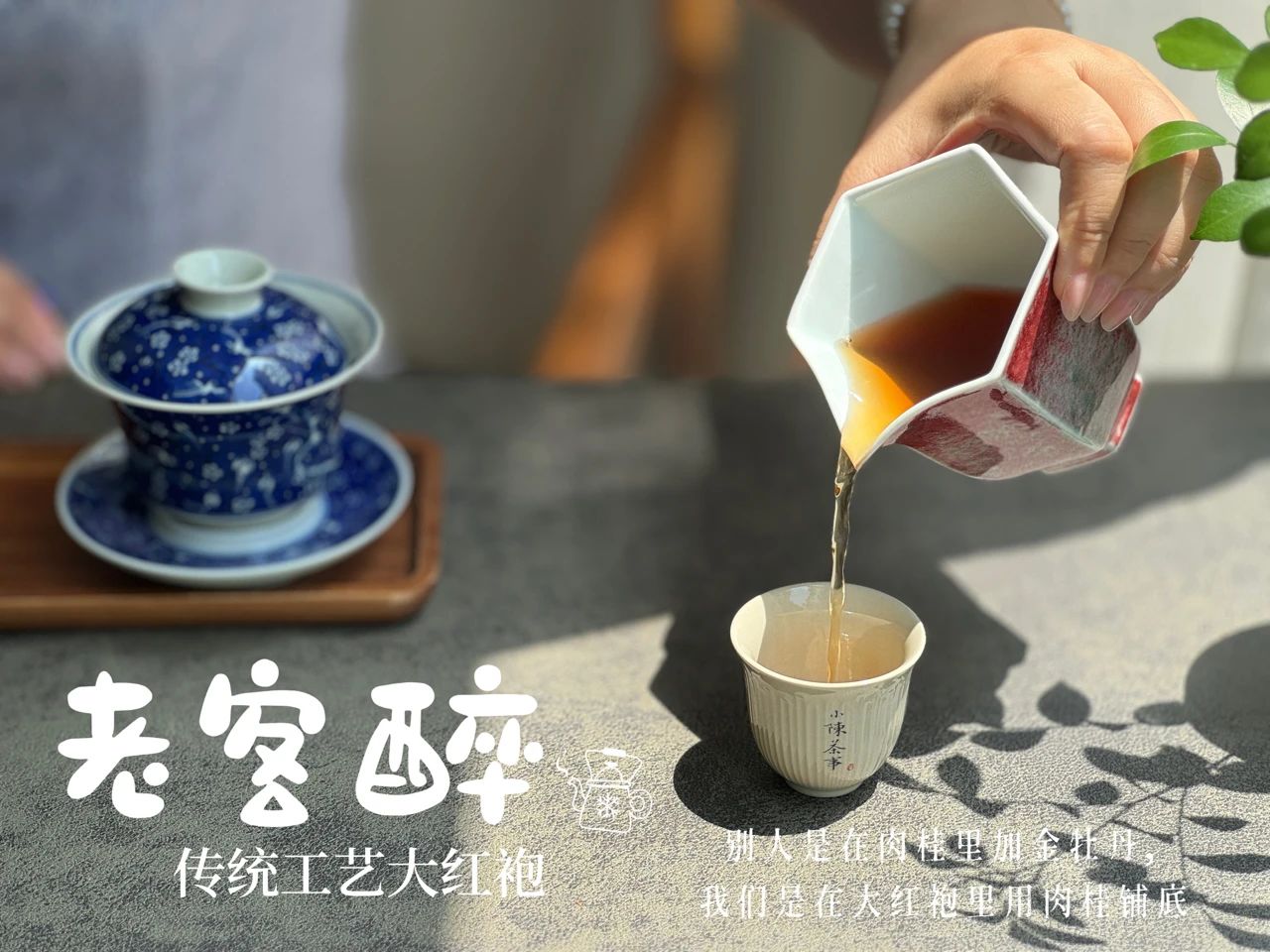 春茶分类 绿茶与白茶区别 青茶与红茶识别_有关茶叶知识
